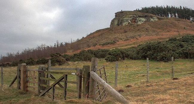 Highcliff Nab Gisborough Moor