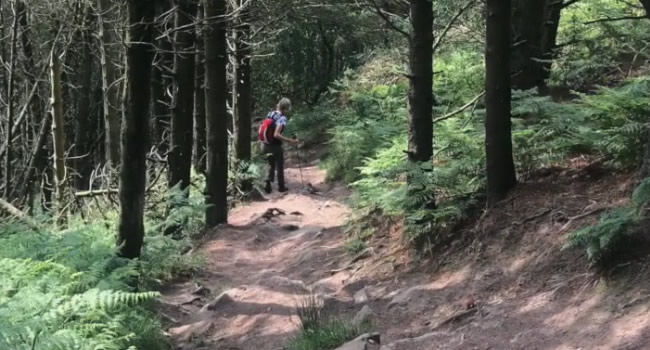 Descent down from Captain Cook's Monument