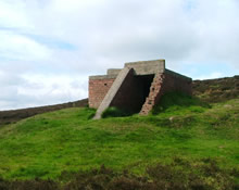 Gisborough Moor starfish bunker dceoy site