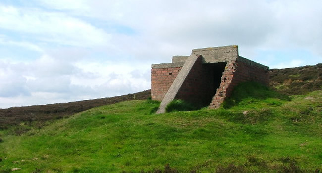 Gisborough Moor decoy site