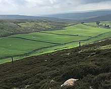 North Yorkshire Three Peaks Sleddale Walk