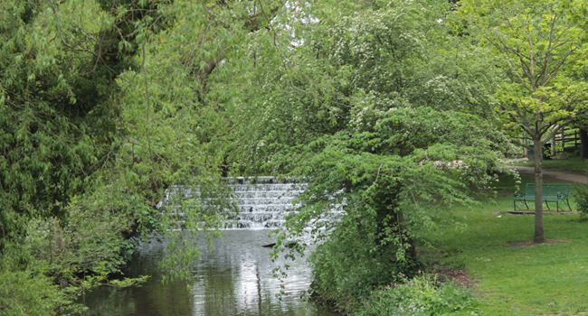 Waterfall Park Great Ayton