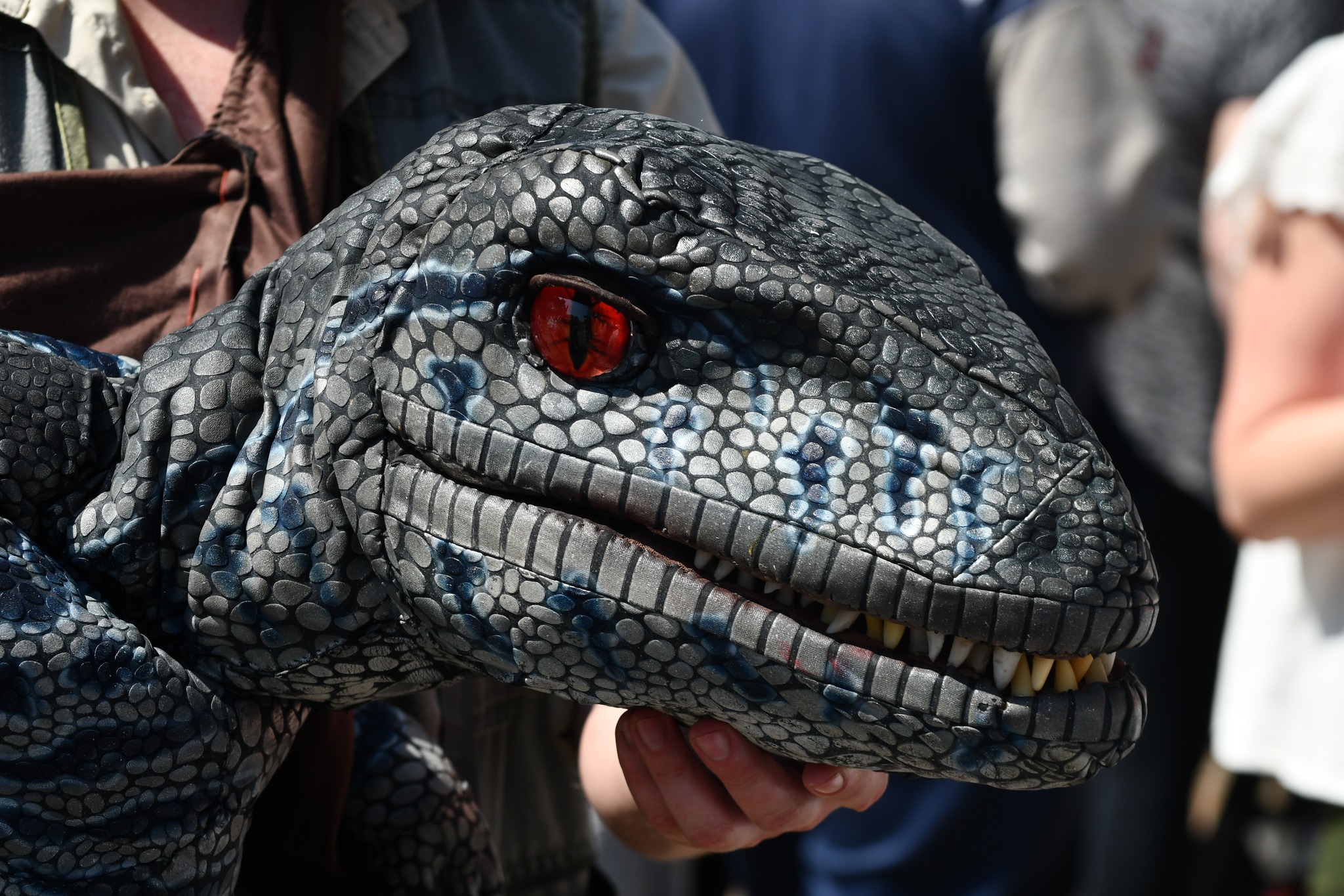 Meet the Baby Donosaurs at North Yorkshire Moors Railway