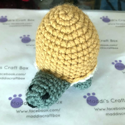 Crochet Tortoise
