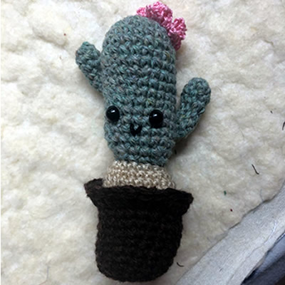 Crochet Cactus