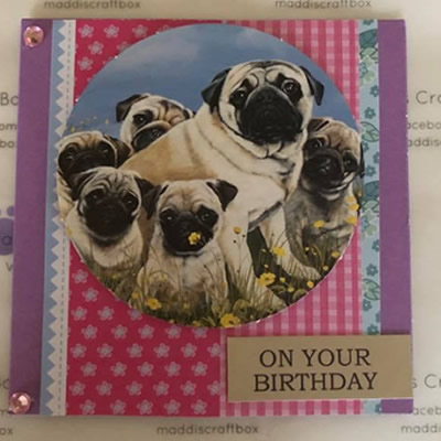 Puppies Greeting Card