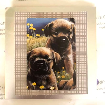 Two Puppies Greeting Card