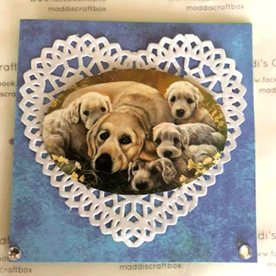 Labrador Greeting Card