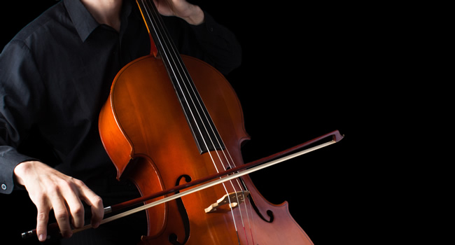 great-ayton-cleveland-chamber-orchestra
