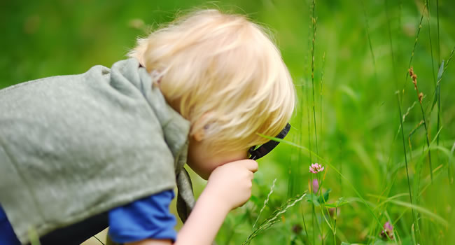 great-ayton-easter-family-trail-at-castle-howard-2026