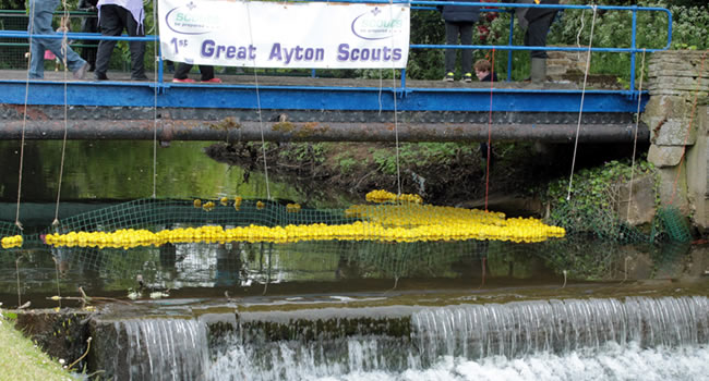 great-ayton-great-ayton-duck-race-2023