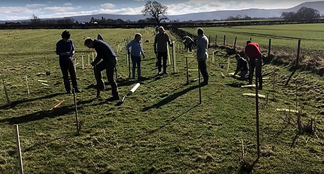 great-ayton-over-1750-trees-planted-at-howard-court