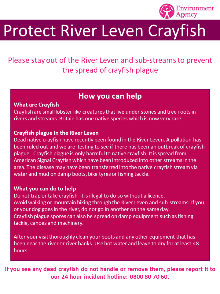 Protect River Leven Crayfish