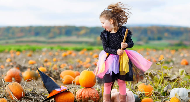 great-ayton-pick-your-own-pumpkin