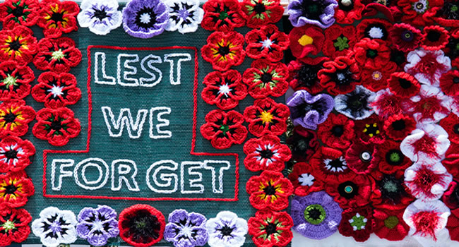 great-ayton-knitted-poppies-required-for-the-village-remembrance-display-2021