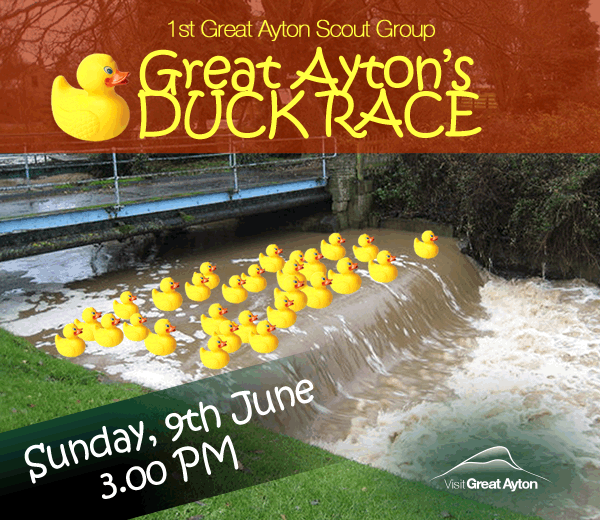 Duck race GIF
